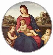 RAFFAELLO Sanzio Madonna Terranuova, Szene: Maria mit Christuskind und zwei Heiligen, Tondo Spain oil painting artist